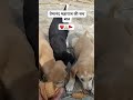 🐕🐕🥰🥰🤗🤗📸. new block
