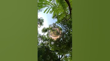 Insta360 camera #moyemoye #360video #shortsfeed #insta360 #360camera #funny