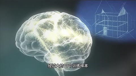 由大脑细胞制成的计算机