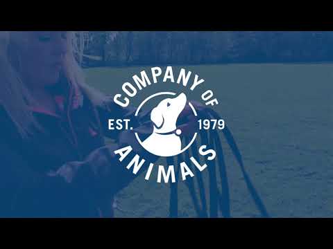 Video: Podjetje Natural Dog Company Tremenda Sticks Recall
