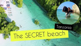The SECRET beach 😱 What to do in Zanzibar 2024, Michamvi Kae #travelvlog #africa #tanzania
