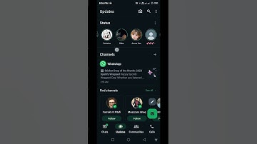how to see muted and viewed status updates in updated Whatsapp version