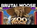 Zoo tycoon  revue du jeu pc  brutalmoose
