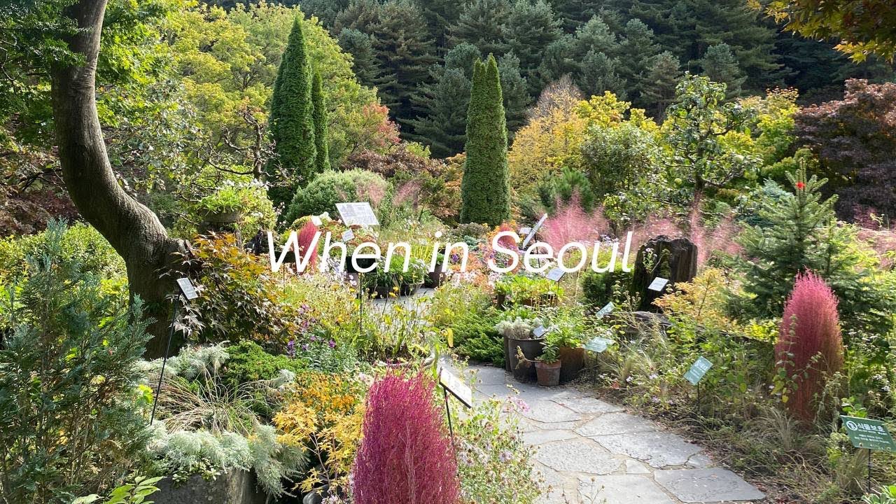 Seoul Diaries 💌 : ewha uni, hongdae street, gyeongbokgung palace, namsan tower, starfield library