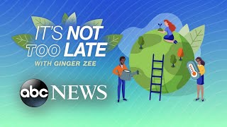 ‘It’s not too late’ with Ginger Zee: What you need to know about the environment