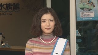 松岡茉優さんが一日水族館長 「ドラマ共演」のイルカ間違える