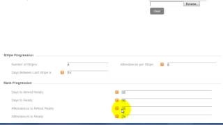 PerfectMIND - Adding Ranks and Stripes
