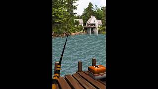 Real Fishing Ace Pro Wild Trophy Catch 3D screenshot 1