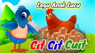 Cit Cit Cuit | Lagu Anak Lucu | Mengenal Suara Hewan Sekitar | Edukasi Untuk Anak Balita