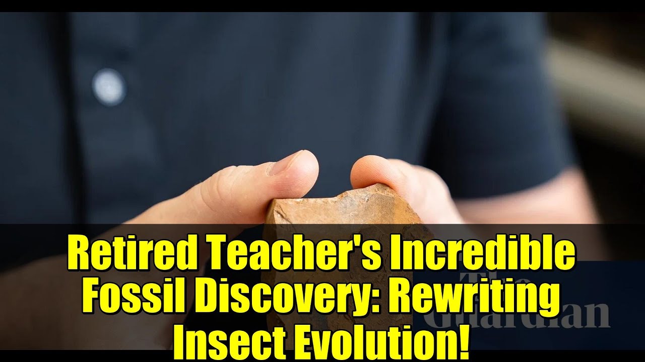 Retired Teacher's Incredible Fossil Discovery: Rewriting Insect Evolution!