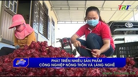 Phát triển nhiều sản phẩm công nghiệp nông thôn và làng nghề