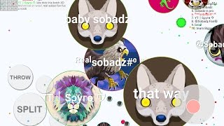 Blob takeover//TRICKSPLIT//DOUBLE SPLITS//UNBELIEVABLE POPSPLIT//PRESPLIT//EDIT