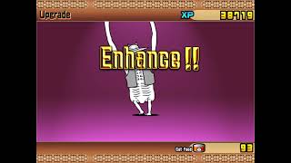 Evolving Tesalan Pasalan The Boss Killer