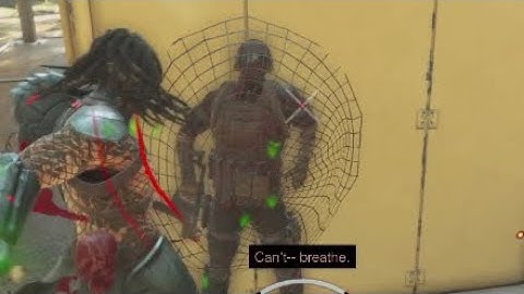 Predator Net showcase