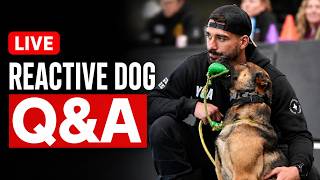 Struggling With Your Reactive Dog Ask Us LIVE