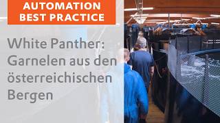 White Panther: Delikate Garnelen aus den österreichischen Bergen
