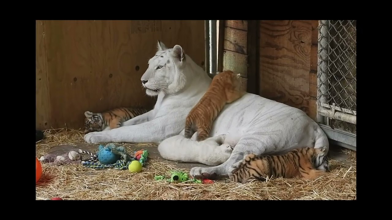 Spend more time with these beauties!!