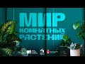 Научно-популярный сериал &quot;Мир комнатных растений&quot; (6 серия)