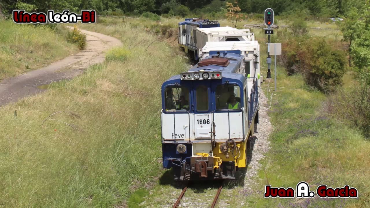 Feve tren herbicida entre Boñar y La Robla (León)_326.