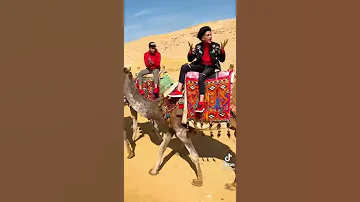 اغنيه انا محترم مش محترم انا رجوله من شارع الهرم 