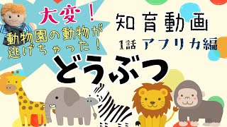 知育動画どうぶつのなまえ 鳴き声[動物園のどうぶつが逃げちゃった！]幼児向け子供向けクイズ 動物の豆知識 2歳3歳4歳5歳6歳7歳zoo animals name Japanese screenshot 4