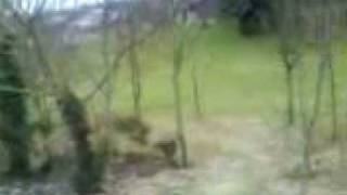 idiots on bikes part 2