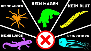 Welche Tiere haben kein Blut?