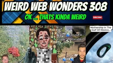 weird web wonders 308