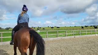 Charlotte Knell & Monty - Horse Id 18783 - October 2023 - Prelim 2C - Main Arena Open