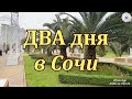 2 дня в Сочи . Отдых на Черноморском побережье. Курс на Юг.