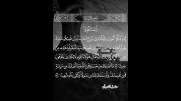 أينما تكونوا يدرككم الموت #سورة_النساء #ماهر_المعيقلي #حامل_القرآن #تلاوة #حالات_واتساب #قرآن