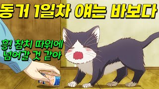 고양이 키우고 싶어지는 애니ㅋㅋ 너무 귀여워서 힐링됨💖