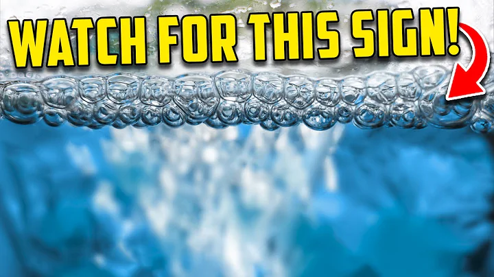 Signs That Something is Wrong In Your Aquarium - Don't Ignore These!