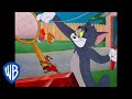 Tom und Jerry auf Deutsch | Freizeitaktivitäten | WB Kids