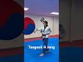 Taegeuk 4 Jang By World Champion Master Kim Mytaekwondo Richmond Virginia 