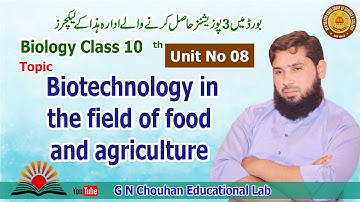 biotechnolgy in the field of food and agriculture unit 8 class 10 Bio