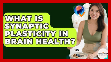 What Is Synaptic Plasticity In Brain Health? - Brain Health Support Network