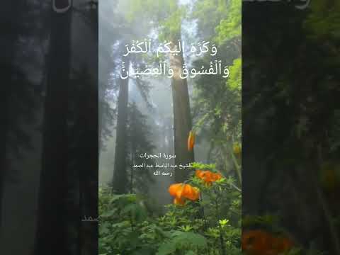 أ و ل ئ ك ه م ٱلر ش د ون