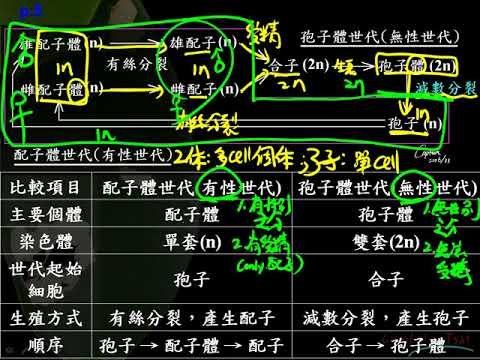 高一基礎生物2 3 03植物的生活史 以被子植物為例一禮 Youtube 高一基礎生物2 3 03植物的生活史 以被子植物為例一禮 Youtube