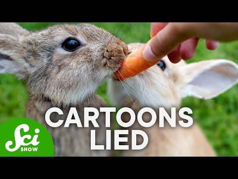 8 Facts About Animals We Got Wrong thumbnail