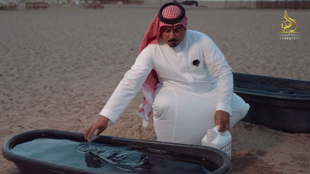 تربية الاغنام في السعودية الحلقة 4 اسرار التغذية