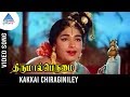 Thirumal Perumai Movie Songs | Kakkai Chiraginile Video Song | KR Vijaya | Sivakumar | KV Mahadevan