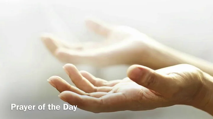 Ninth Sunday after Pentecost, August 2, 2020