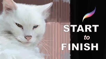 Paint Like A FINE ARTIST In Procreate. White Cat Procreate Tutorial Using The Oil Brushes.
