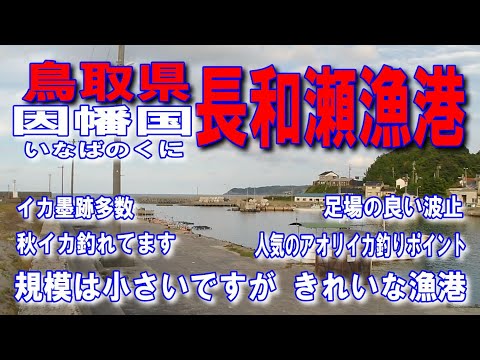 #98鳥取県長和瀬漁港因幡国いなばのくに規模は小さいですがきれいな漁港秋イカ釣れてます足場の良い波止イカ墨跡多数人気のアオリイカ釣りポイントエギで秋イカ釣り人が多い山陰自動車道