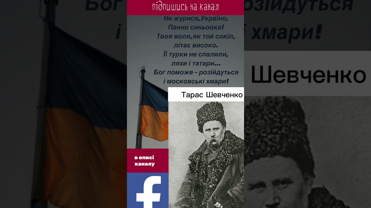 Porno qoshiqchilar onlayn