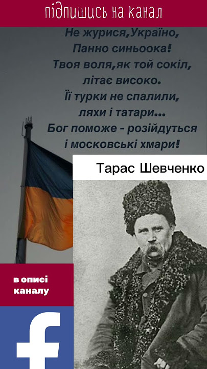 Onalar bilan porno videolar (xxx)