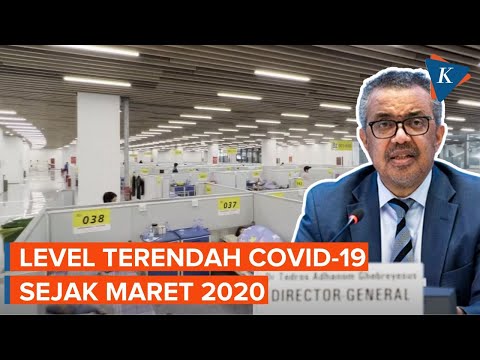 Akhir Pandemi Covid-19 Sudah di Depan Mata?