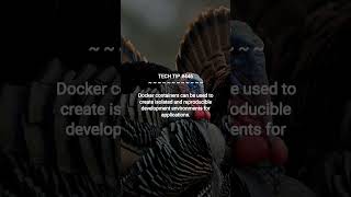 Using Docker for Development Environments :: 2025-08-08 #shorts #TechTips #dotKey