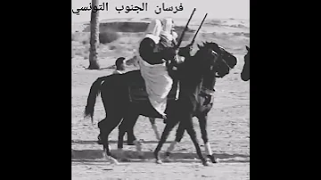فرسان الجنوب التونسي مشاله 